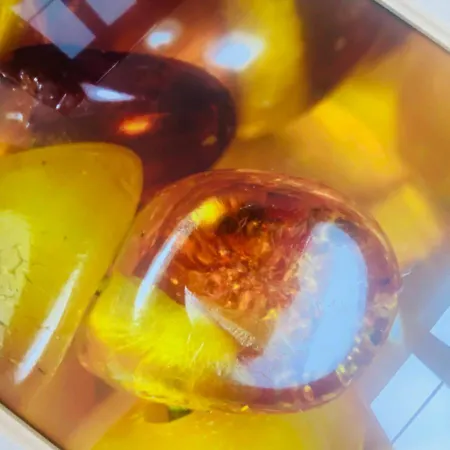 Lejlighed Lub Bursztynowy Z Parkingiem Stare Gdańsk