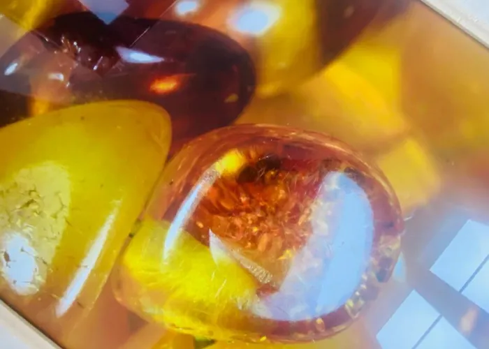 Appartement Lub Bursztynowy Z Parkingiem Stare Gdańsk